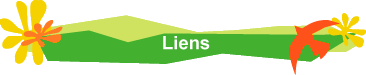Liens
